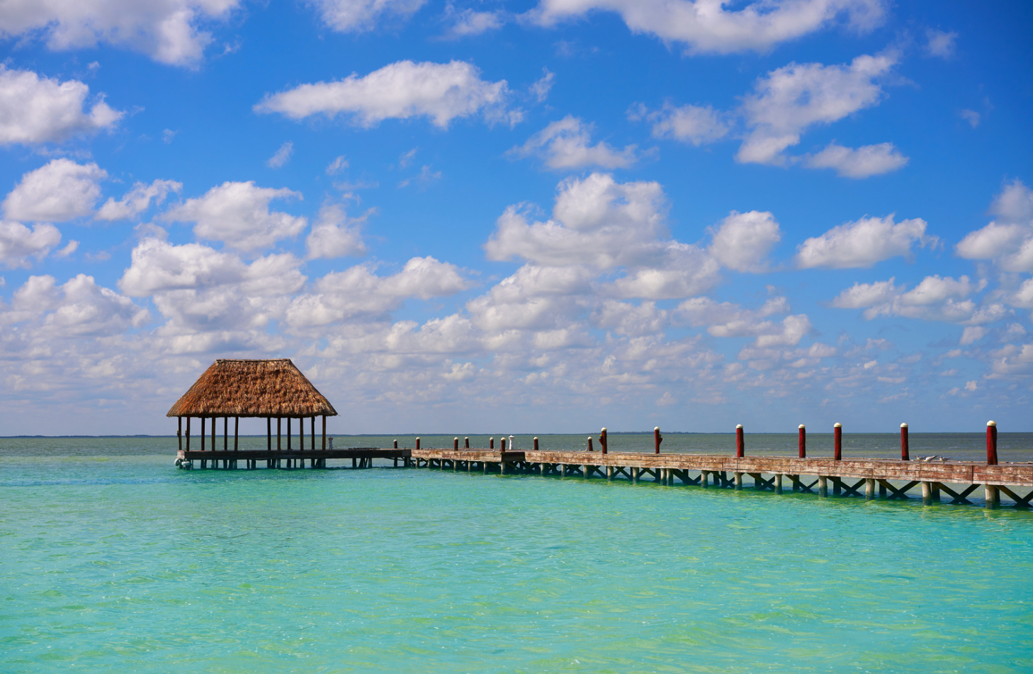 Holbox Plus - Imagen 3