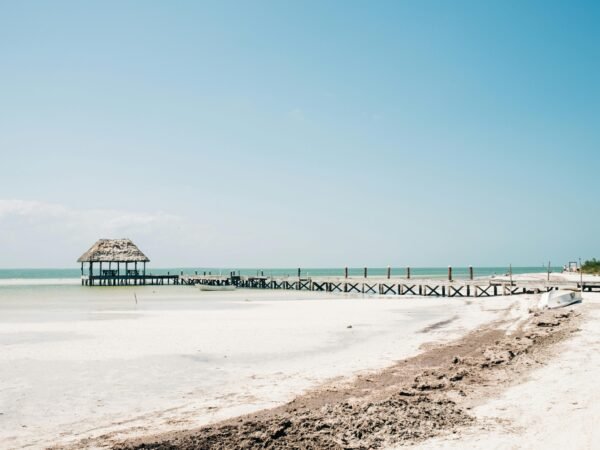 Holbox Plus