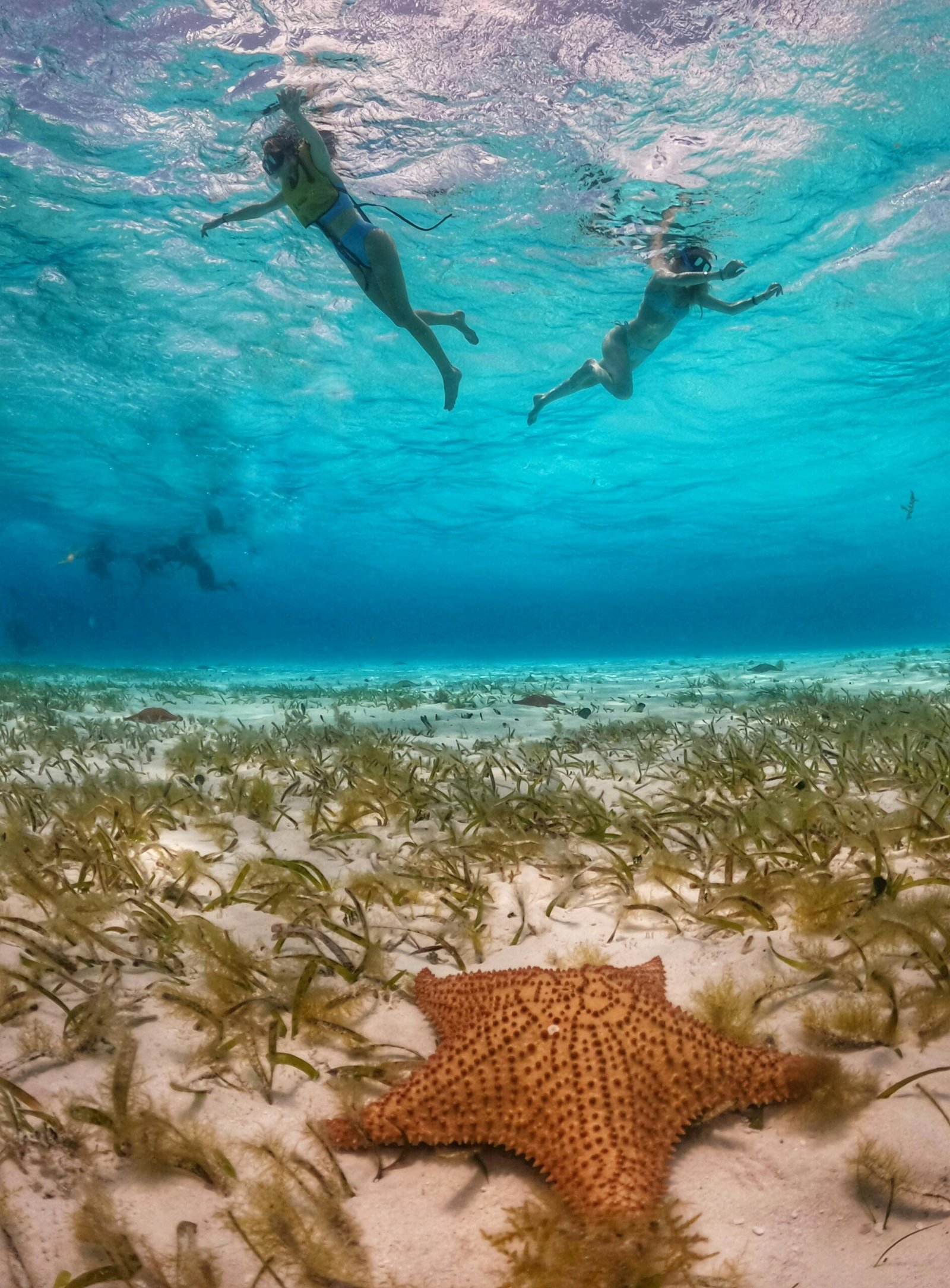 Cozumel