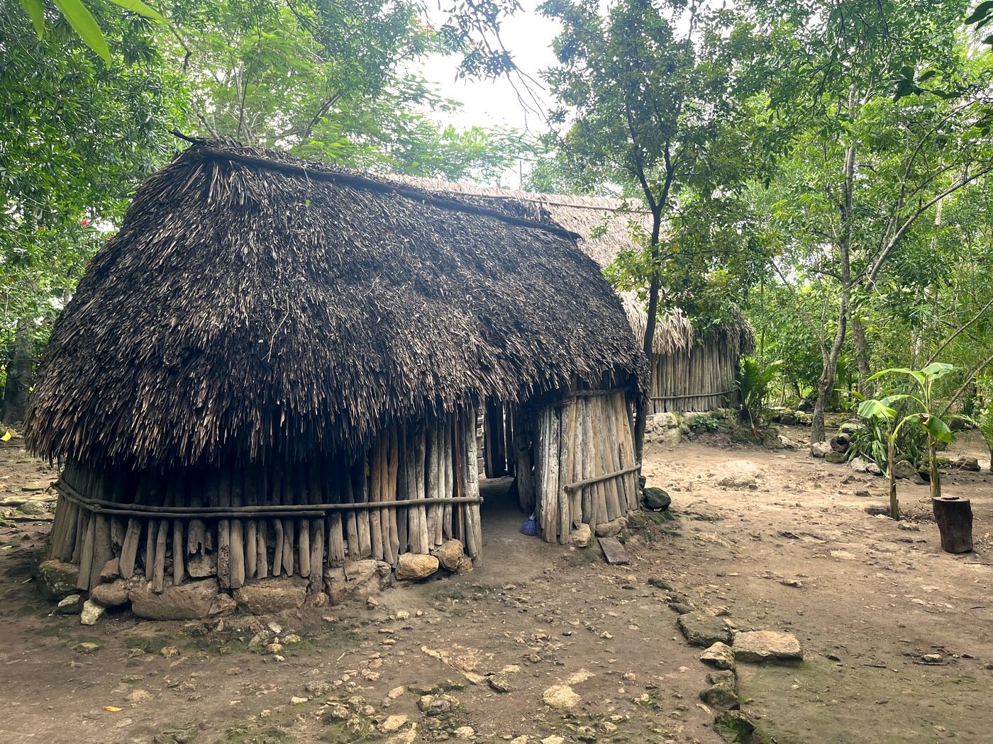Inmersión Maya