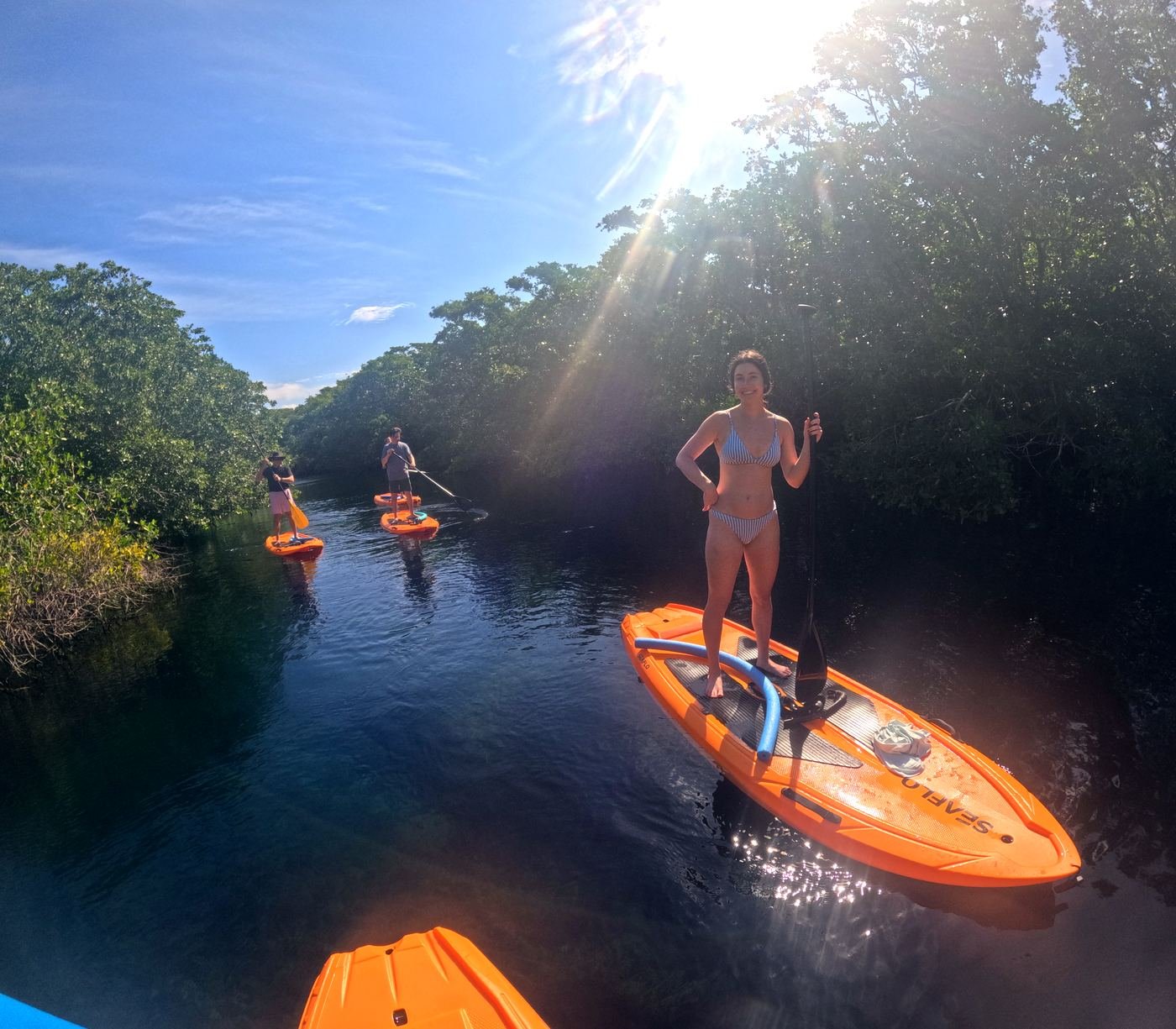 Paddle Santuario